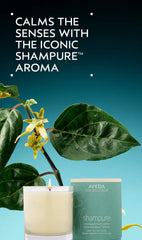 shampure™ vegan soy wax candle